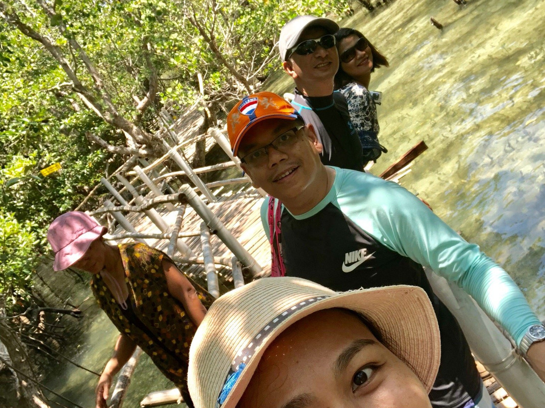 Suyac Island Mangrove Eco-Park景点图片