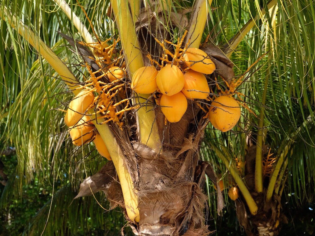 Tanette's Villa主图