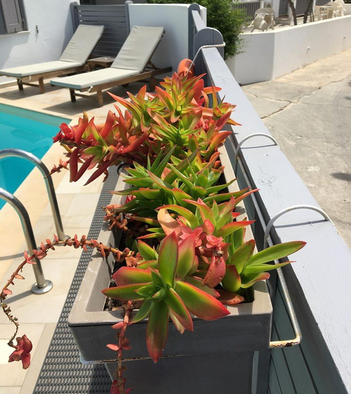 Hotel Francoise主图