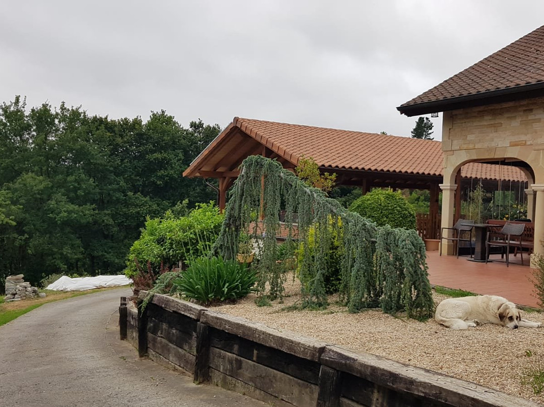 Arrieta旅游攻略图片