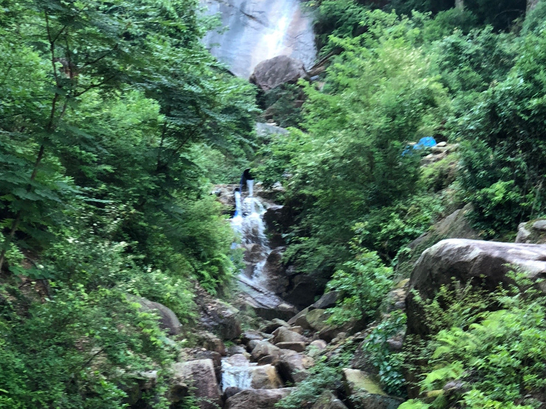 彌山原始林-廿日市市必去景点