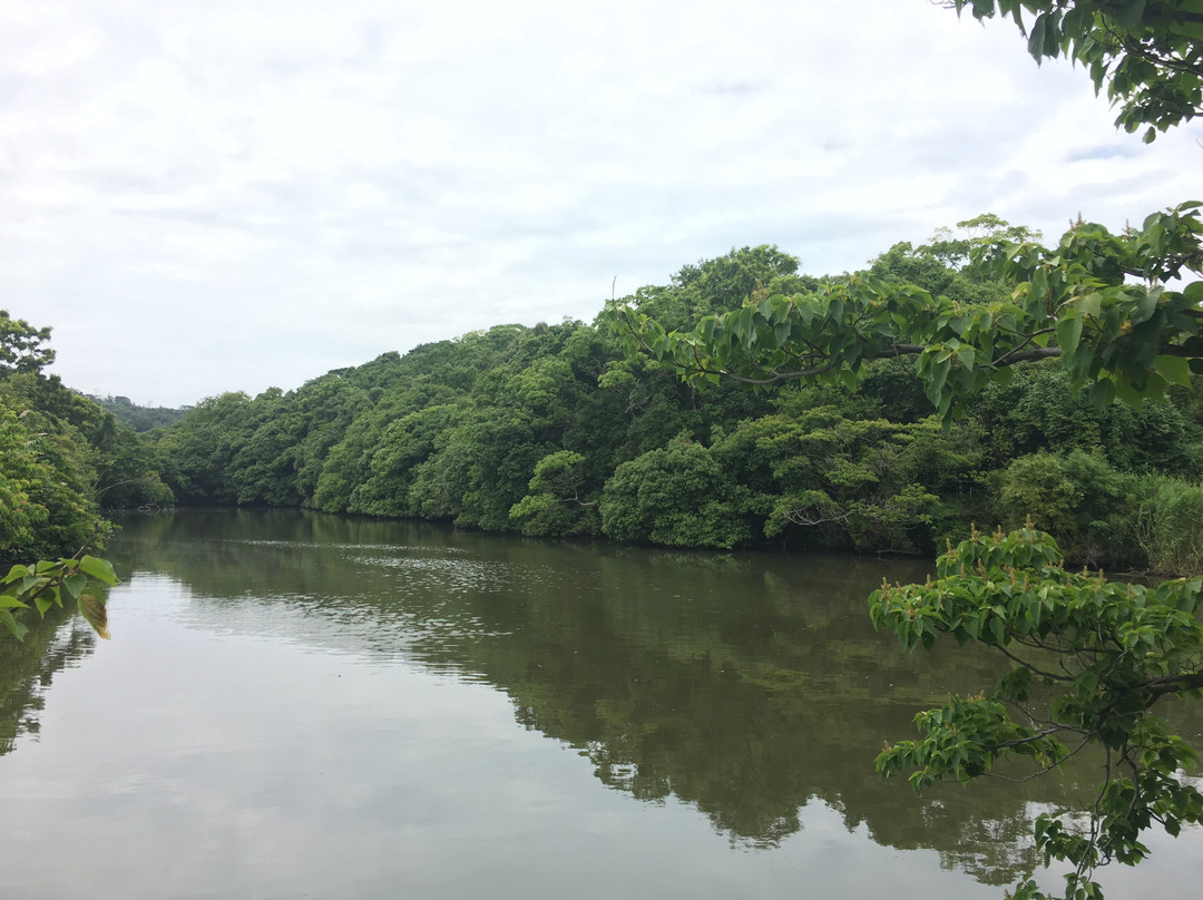 Seiryo Tumulus-美咲町必去景点