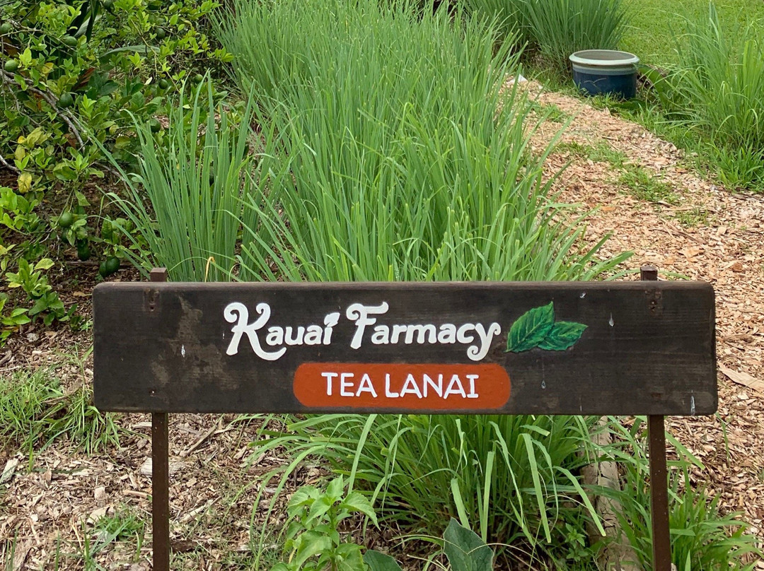 Kauai Farmacy-基拉韦厄必去景点