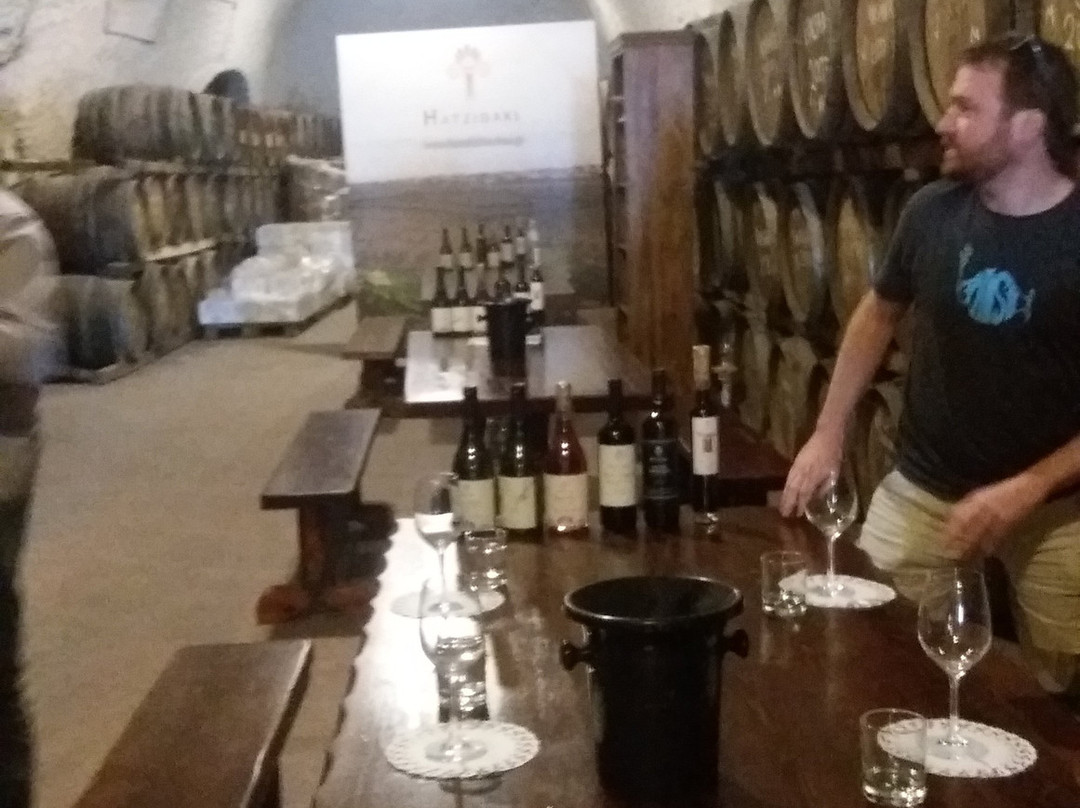 Wine in Santorini Exclusive wine tour & tasting-圣托里尼必去景点