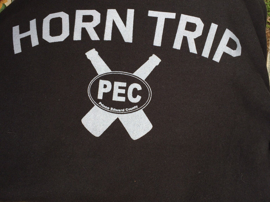The Prince Edward County T-shirt Company景点图片