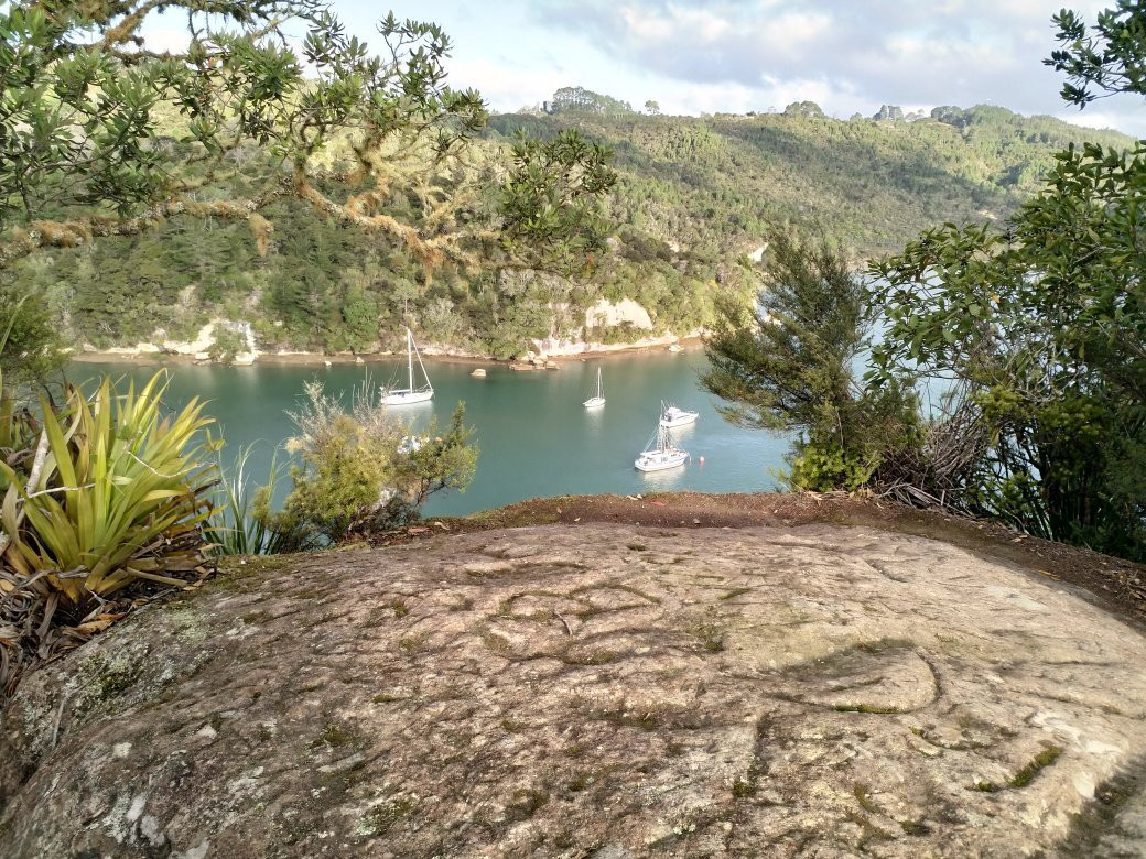 Whitianga Rock Walk景点图片