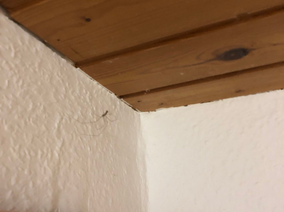 Hotel Pension Winzerhaus主图