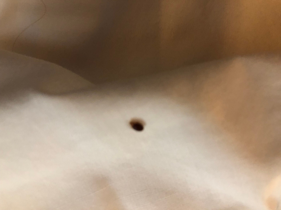 Comfort Inn Barboursville Near Huntington Mall Area主图