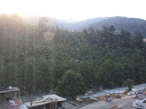 Bravia Hotel Manali主图