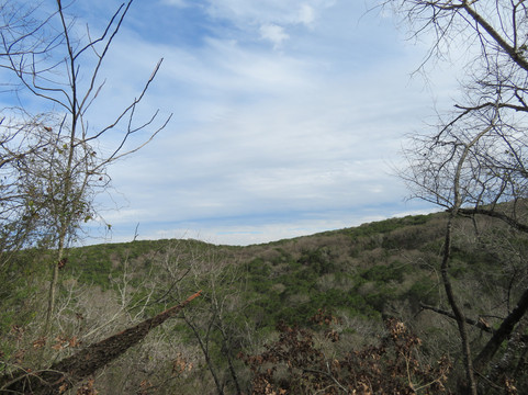 Friedrich Wilderness Park-圣安东尼奥市必去景点