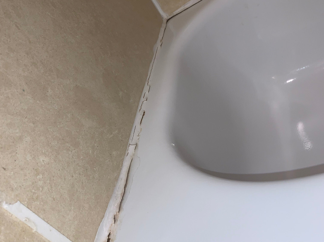 Staybridge Suites Tampa East - Brandon by IHG主图