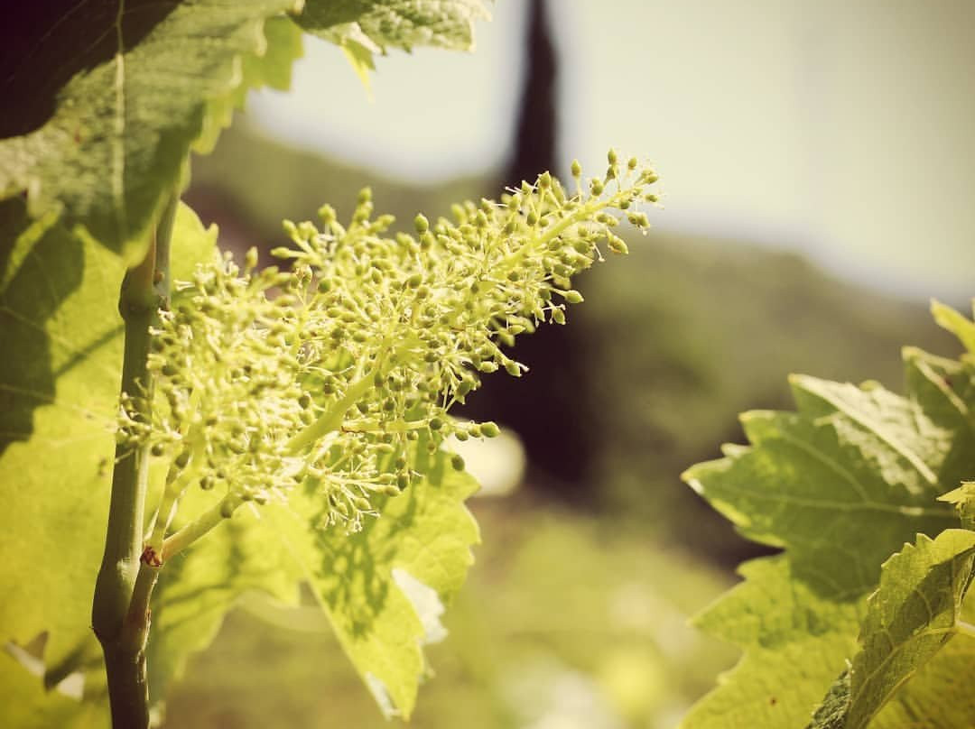 Obermoser-博尔扎诺必去景点