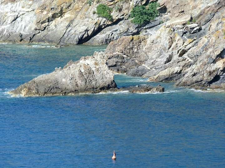 Spiaggia di Barbarossa-Porto Azzurro必去景点
