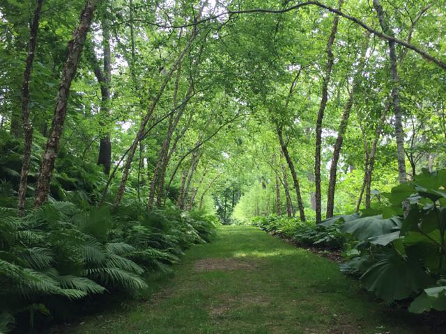 Hortulus Farm Garden and Nursery景点图片