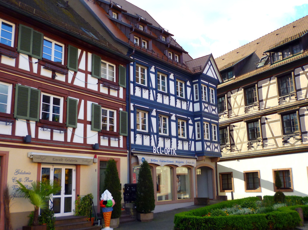 Schwarzwald Villa主图