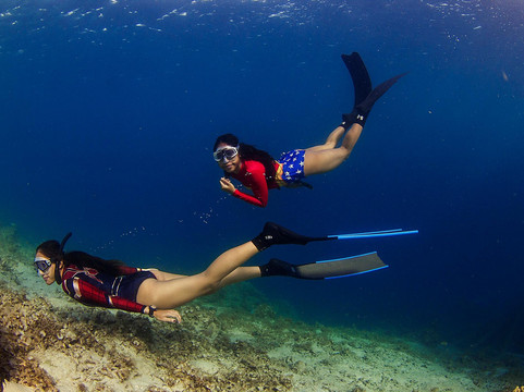 Freediving Society