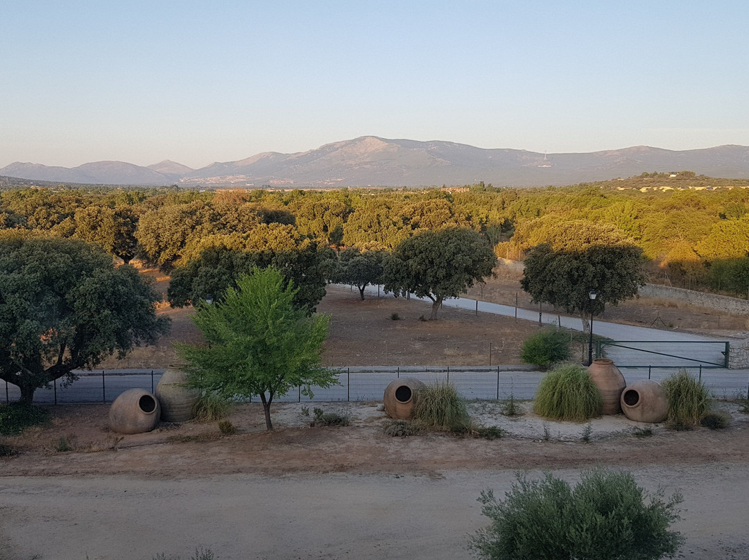 Hotel FC Villalba主图