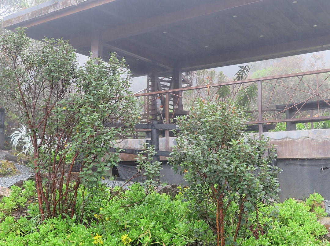 Hotel Termales Del Ruiz主图