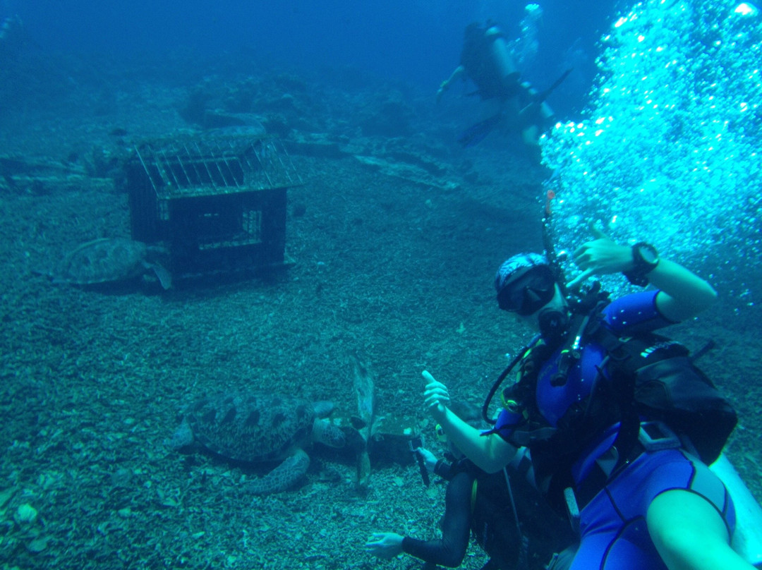 Two Fish Divers Gili Air景点图片