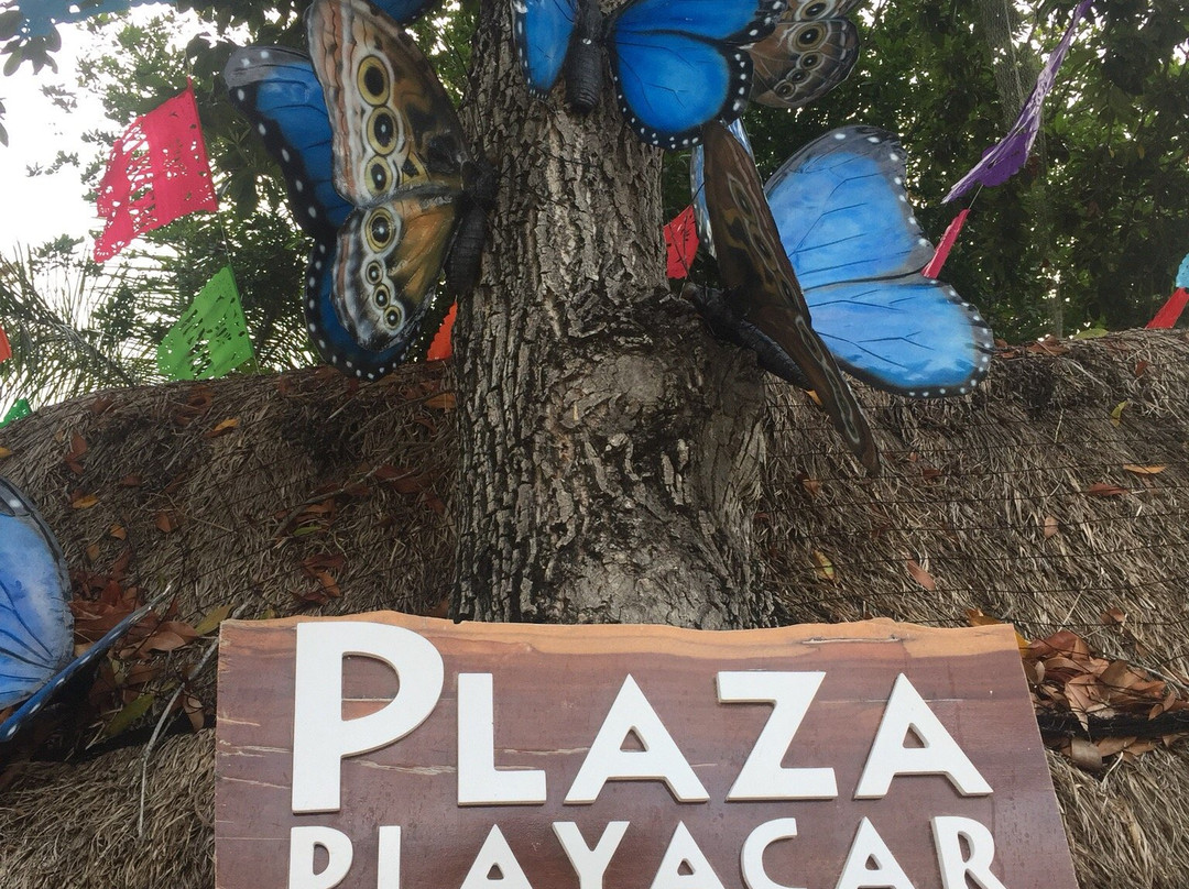 Aqua Marine Health & Spirit-普拉亚德尔卡曼必去景点