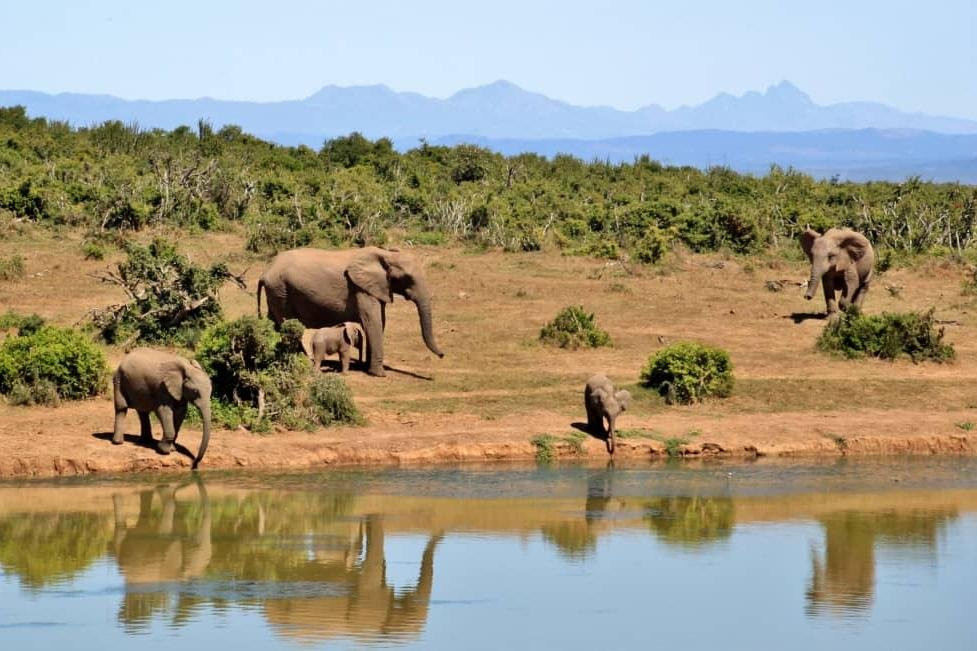 Destined Travel and Tours-卢萨卡必去景点