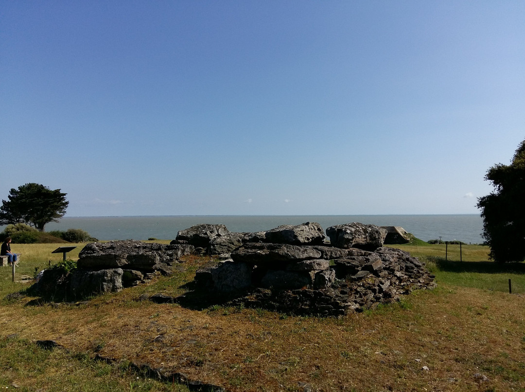 Dolmen de la Joseliere景点图片