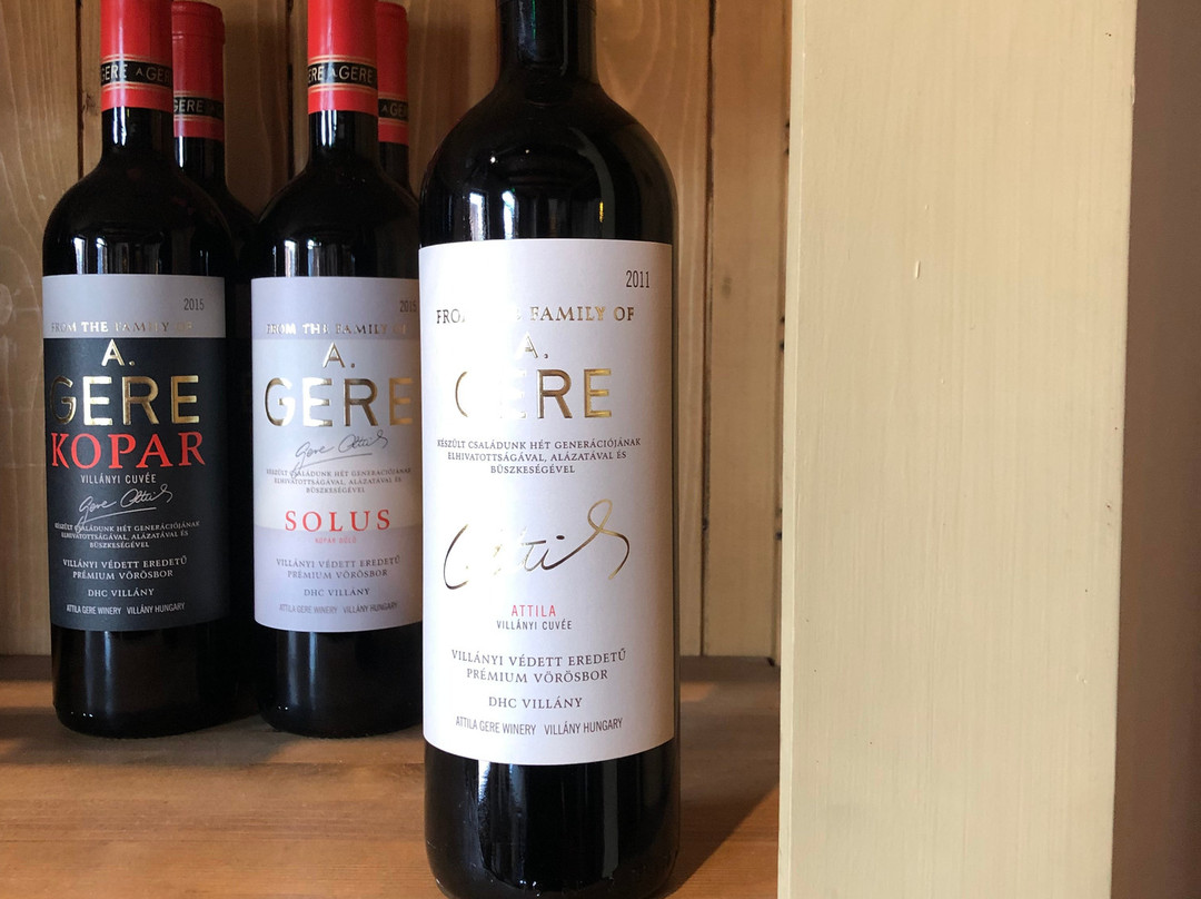 Crocus Gere Bor Hotel & Resort主图