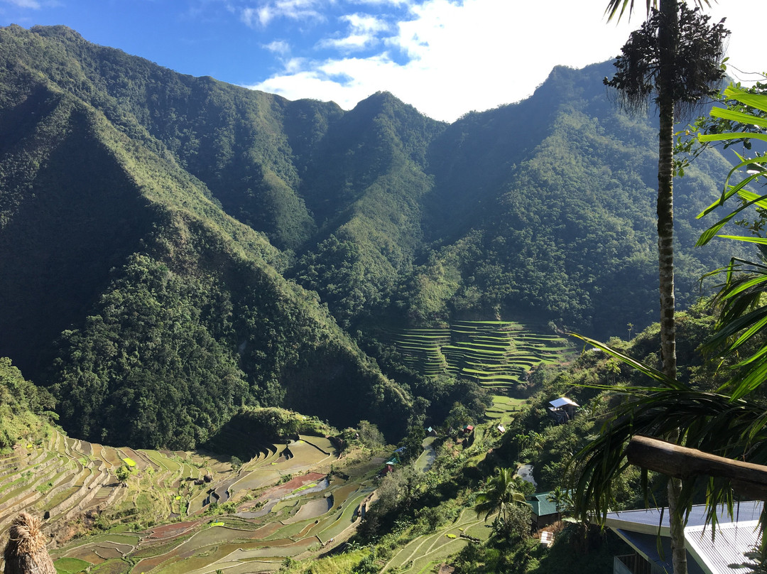 Ramon's Homestay and Restaurant主图