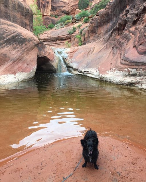 Red Reef Trail-Leeds必去景点