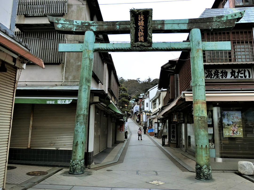 Seido no Tori