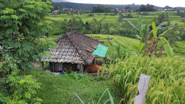 Gede Private Bali Driver-沙努尔必去景点