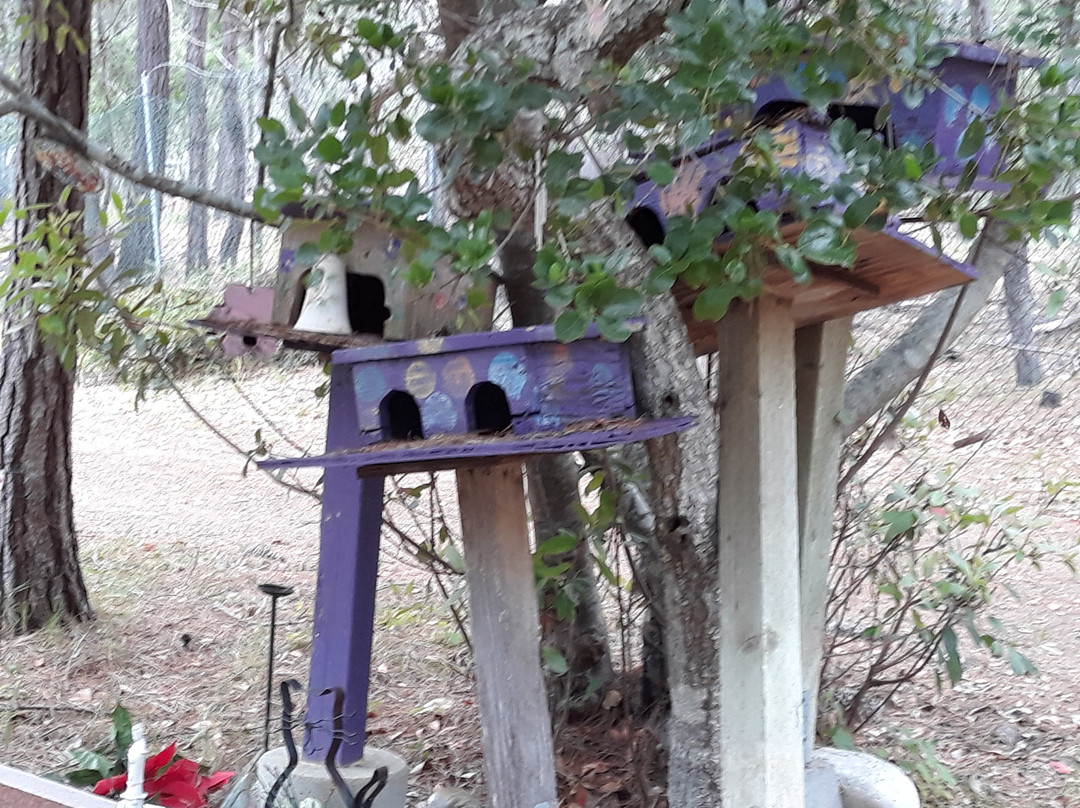 Cambria Cemetery-坎布里亚必去景点