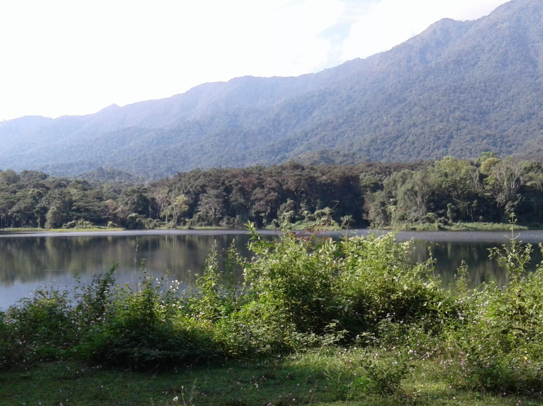 Nutty's Adventures-大城必去景点