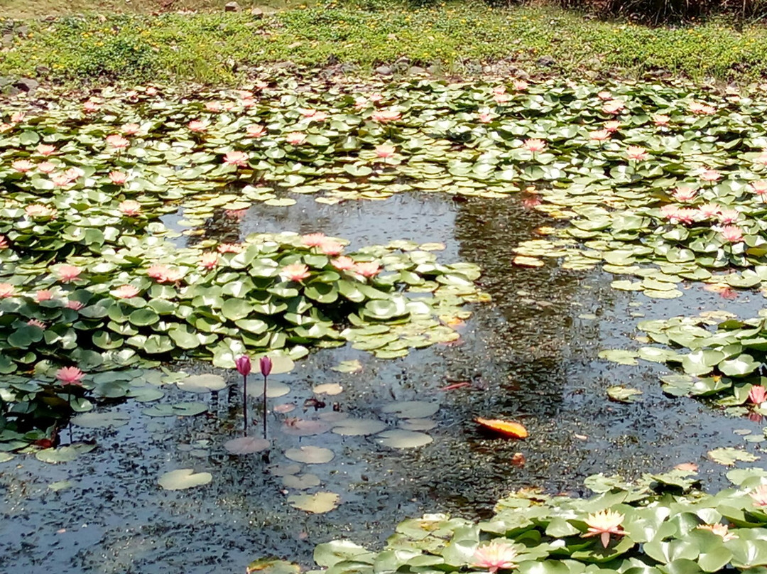 Nakshatra Garden-锡尔瓦萨必去景点