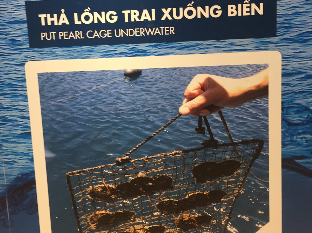 Long Beach pearl-美奈必去景点