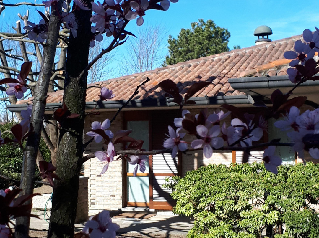 Villa Onorina B&B主图