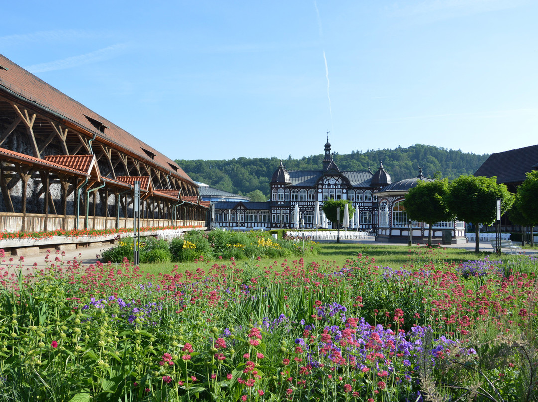 Gradierwerk Bad Salzungen景点图片