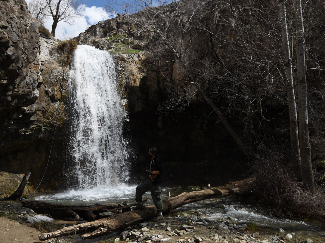 Trekking Day景点图片