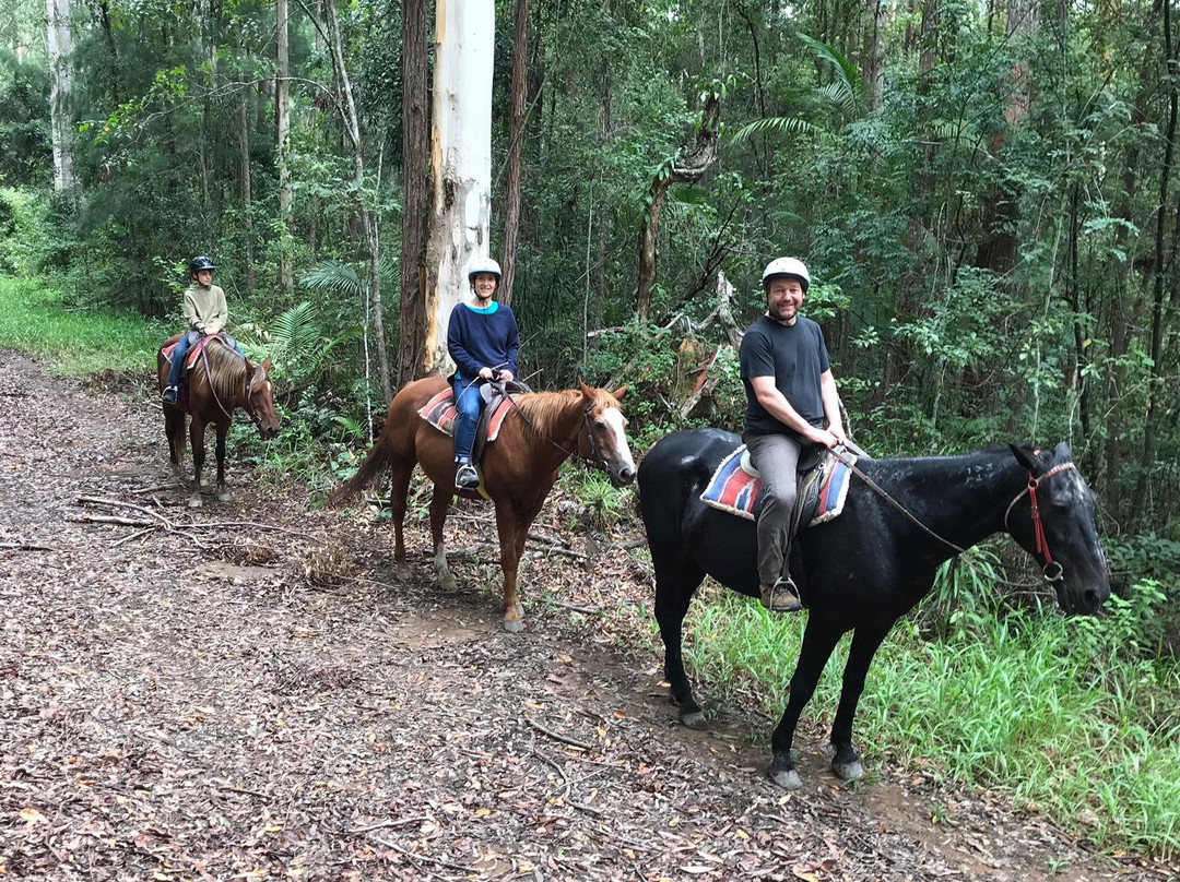 Valery Trails & Horse Riding Centre景点图片
