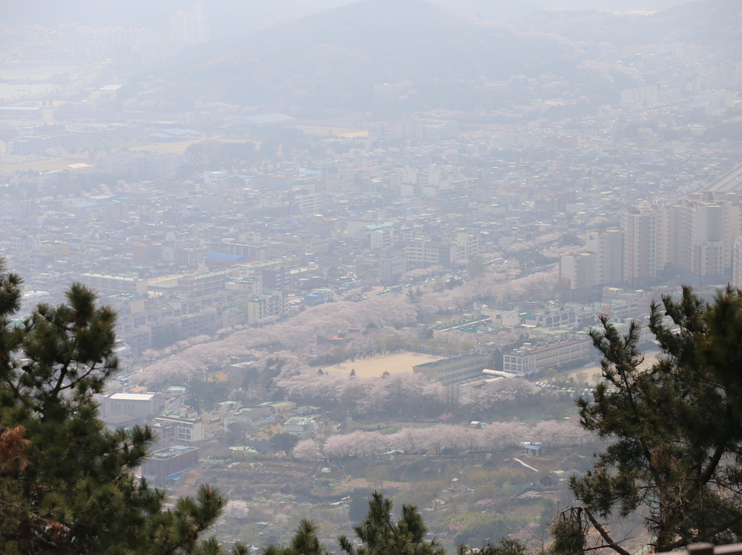 Anmingogae Pass-昌原市必去景点