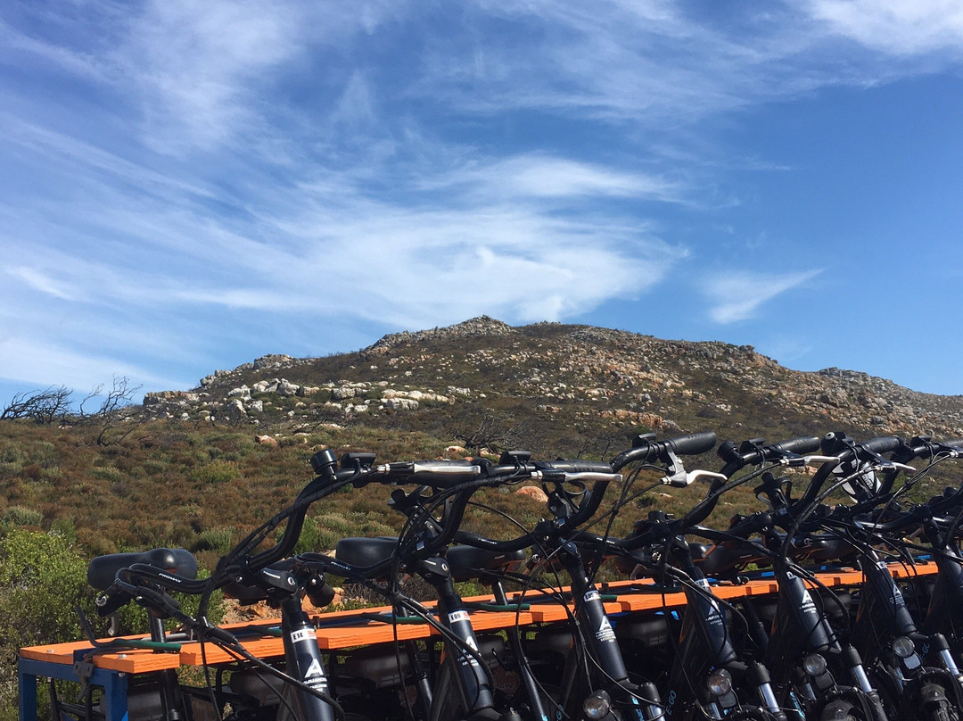 Daytrippers-开普敦中心区必去景点