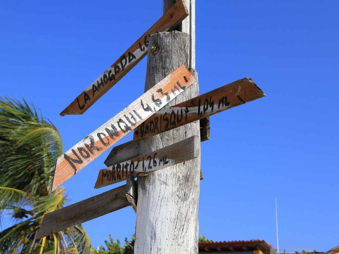 Caracas Tours-加拉加斯必去景点