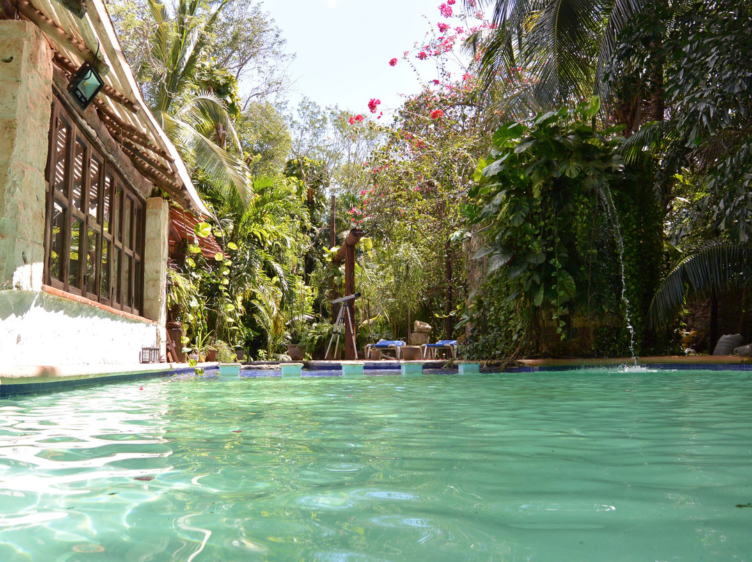 Bellisima casa en la selva主图