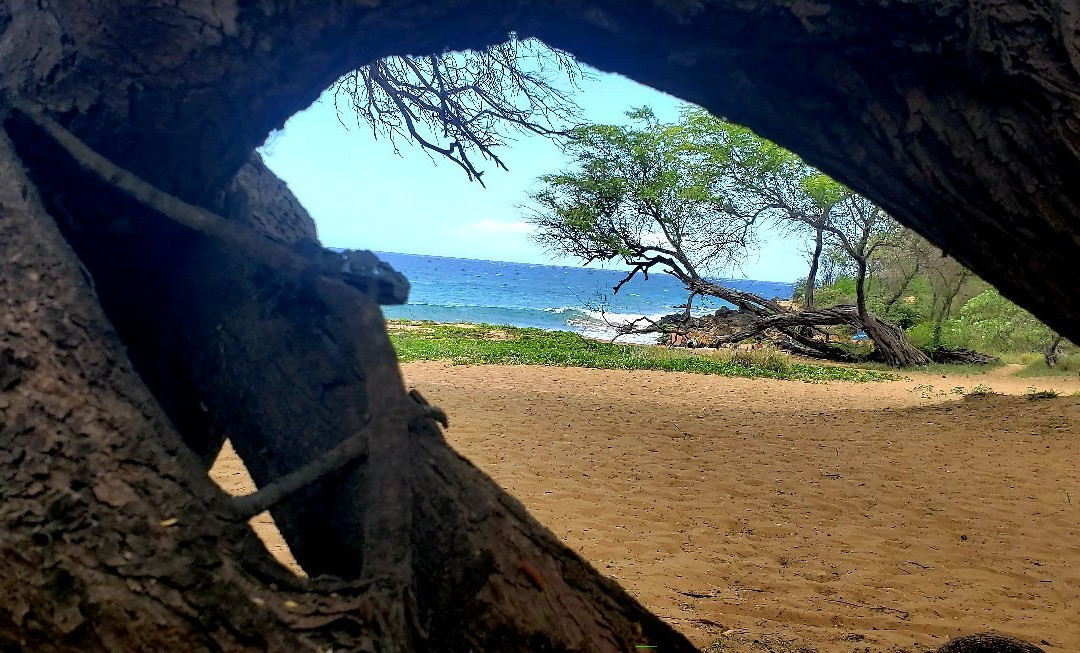 Po'olenalena Beach-维雷亚必去景点