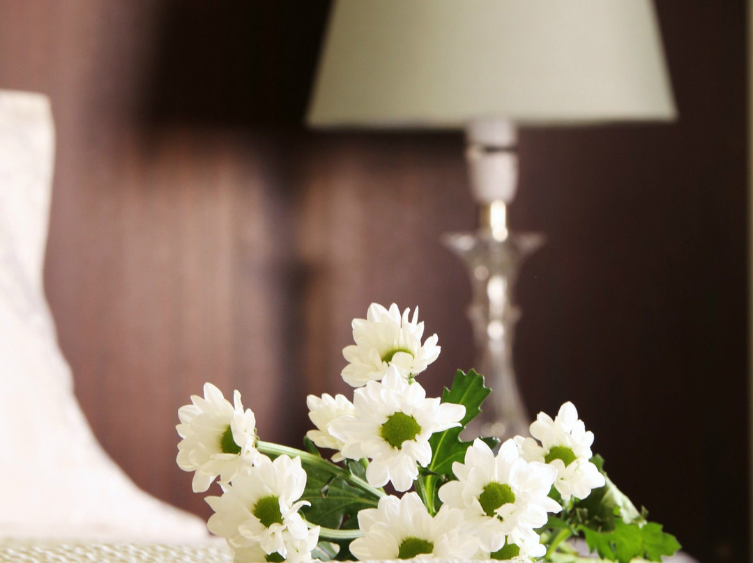 Elsje's Country Inn主图