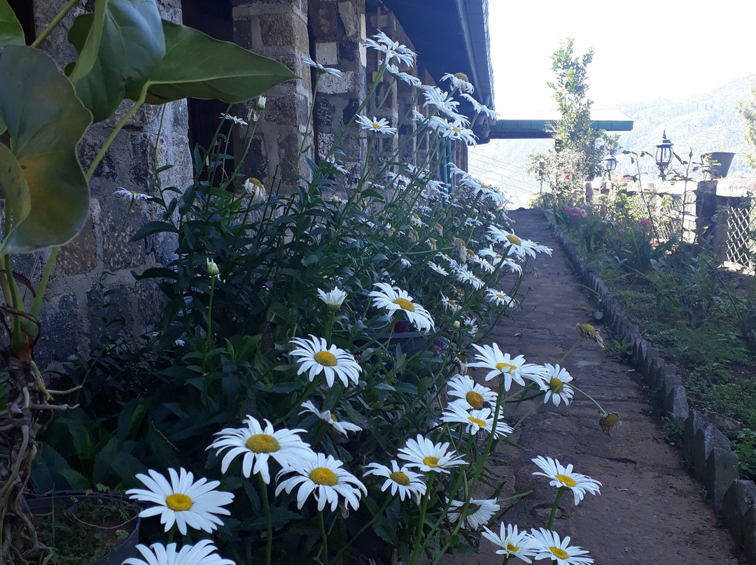 Castlereigh Holiday Bungalow主图