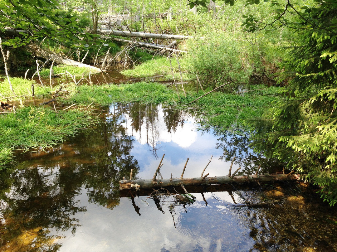 Scottish Highlander Guesthouse主图