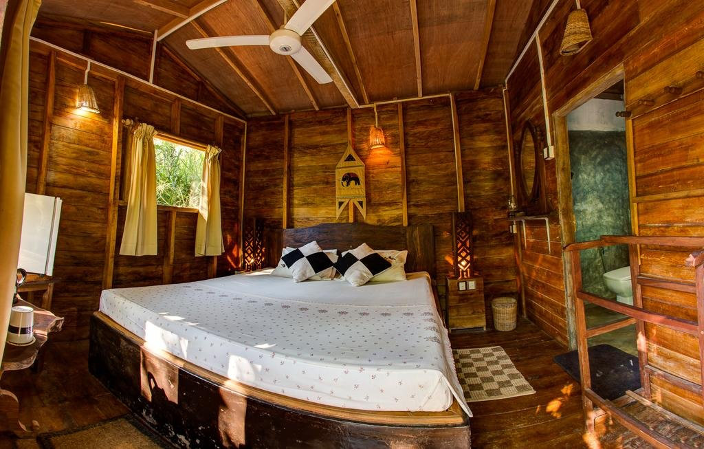 360 Rainforest主图