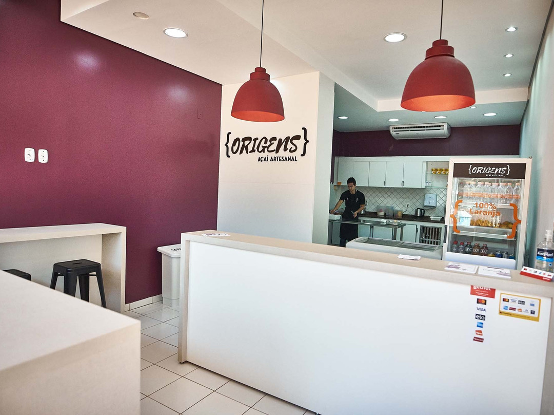 Origens - Acai Artesanal