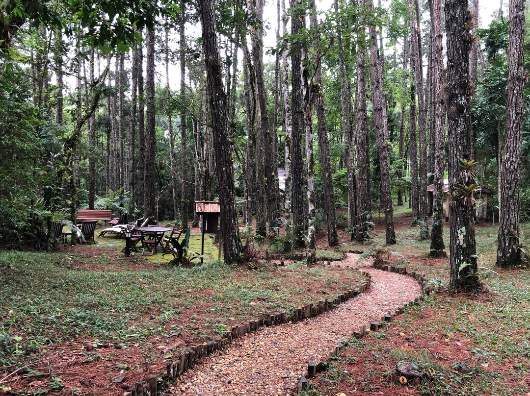 Pousada Casa Bonita主图